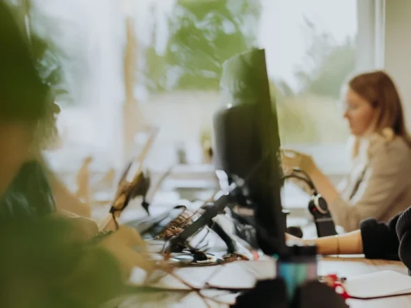 ressourcenplanung-asana-lemontec