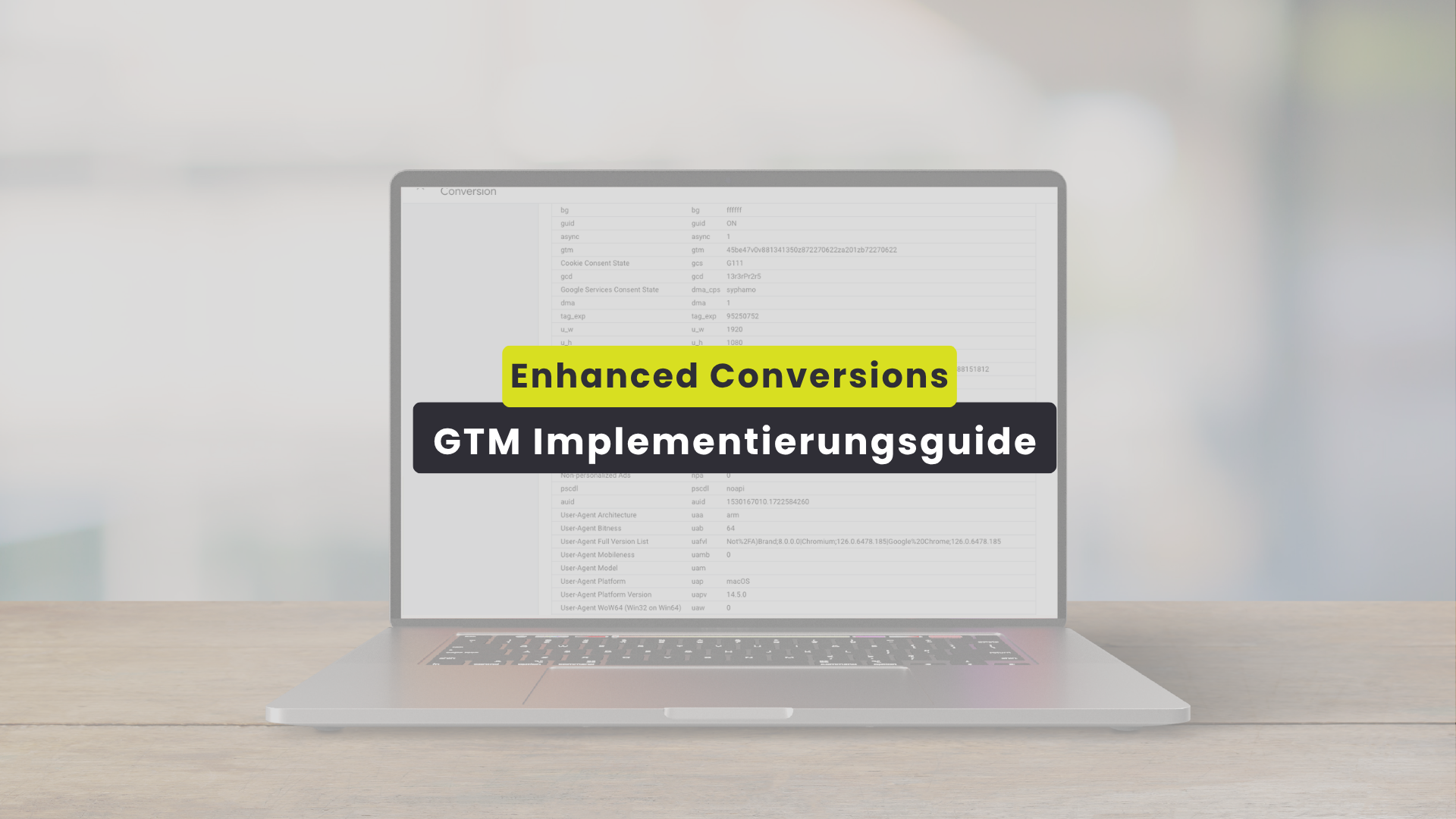 Google Ads Enhanced Conversions mit Google Tag Manager – Implementierungsguide
