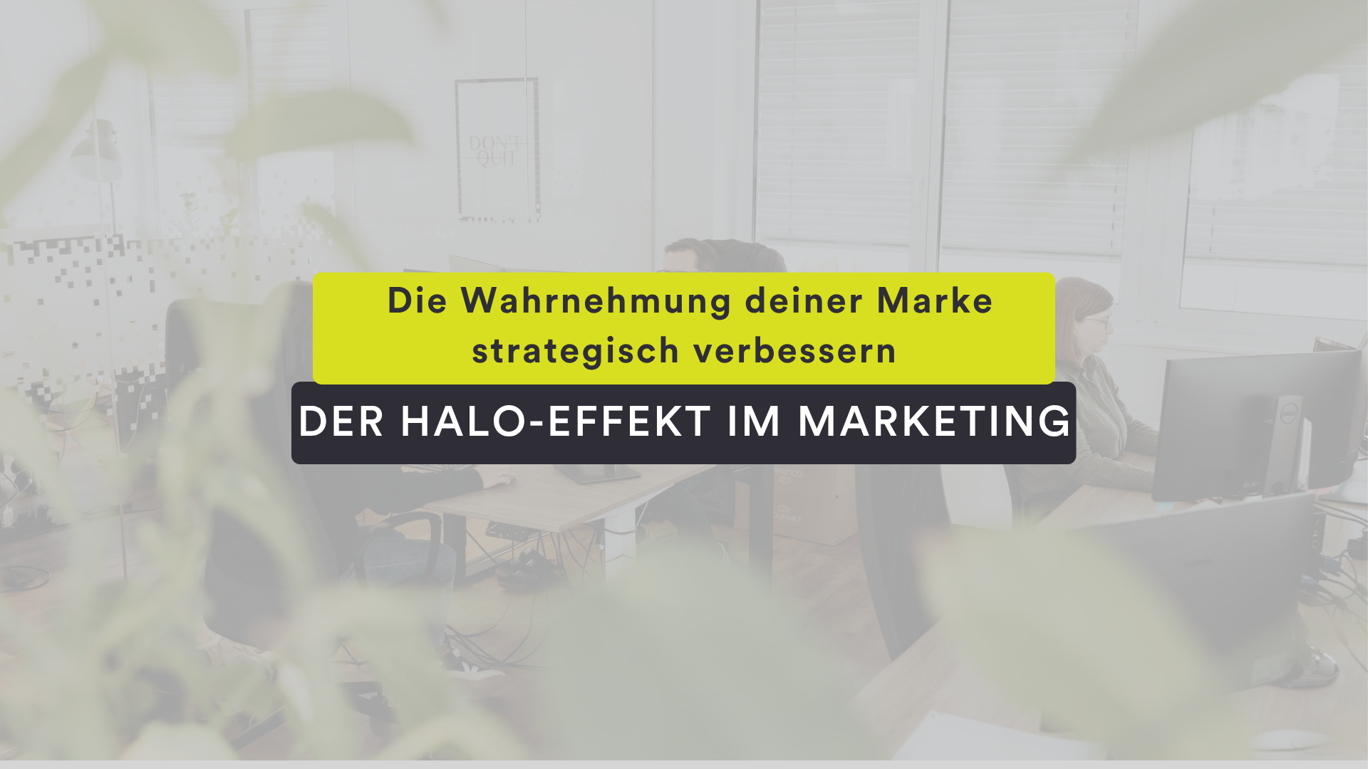 Wie du mit dem Halo-Effekt die Wahrnehmung deiner Marke strategisch verbesserst